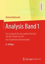 Analysis Band 1: Ein Lernbuch für den sanften Wechsel von der Schule zur Uni. Von Studenten mitentwickelt