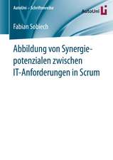 Abbildung von Synergiepotenzialen zwischen IT-Anforderungen in Scrum