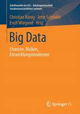 Big Data: Chancen, Risiken, Entwicklungstendenzen