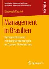 Management in Brasilien: Karriereverläufe und Handlungsorientierungen im Zuge der Globalisierung