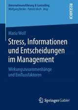 Stress, Informationen und Entscheidungen im Management: Wirkungszusammenhänge und Einflussfaktoren