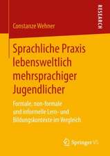 Sprachliche Praxis lebensweltlich mehrsprachiger Jugendlicher: Formale, non-formale und informelle Lern- und Bildungskontexte im Vergleich