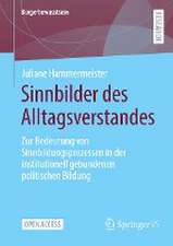 Sinnbilder des Alltagsverstandes: Zur Bedeutung von Sinnbildungsprozessen in der institutionell gebundenen politischen Bildung