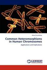 Common Heteromorphisms in Human Chromosomes