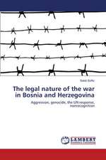 The legal nature of the war in Bosnia and Herzegovina