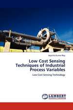 Low Cost Sensing Techniques of Industrial Process Variables