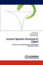 Juncus Species Growing in Egypt