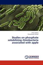 Studies on phosphate solubilizing rhizobacteria associated with apple