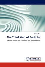 The Third Kind of Particles