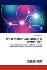 What Matter Can Sustain A Wormhole?