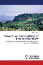 Towards a reconstruction of Blue Nile baseflow