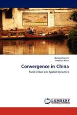 Convergence in China