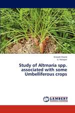 Study of Altrnaria spp. associated with some Umbelliferous crops