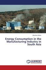 Energy Consumption in the Manufacturing Industry in South Asia