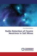 Radio Detection of Cosmic Neutrinos in Salt Mines