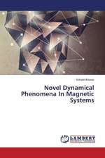 Novel Dynamical Phenomena In Magnetic Systems