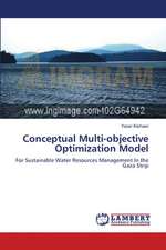 Conceptual Multi-objective Optimization Model