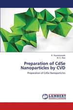 Preparation of CdSe Nanoparticles by CVD