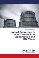 Natural Convection in Porous Media: CO2 Sequestration and CO2-Vapex