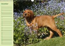 Puppies Birthday Calendar / UK-Version (Wall Calendar perpetual DIN A3 Landscape)