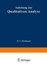 Anleitung zur Qualitativen Analyse