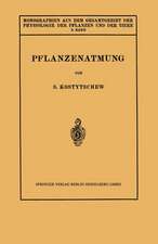 Pflanzenatmung