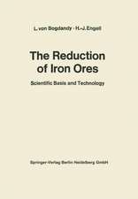 The Reduction of Iron Ores: Scientific Basis and Technology