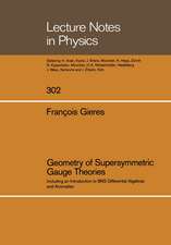 Geometry of Supersymmetric Gauge Theories: Including an Introduction to BRS Differential Algebras and Anomalies