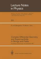 Complex Differential Geometry and Supermanifolds in Strings and Fields: Proceedings of the Seventh Scheveningen Conference, Scheveningen, The Netherlands, August 23–28, 1987