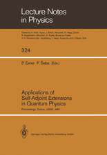 Applications of Self-Adjoint Extensions in Quantum Physics: Proceedings of a Conference Held at the Laboratory of Theoretical Physics, JINR, Dubna, USSR, September 29–October 1, 1987