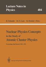 Nuclear Physics Concepts in the Study of Atomic Cluster Physics: Proceedings of the 88th WE-Heraeus-Seminar Held at Bad Honnef, FRG, 26–29 November 1991