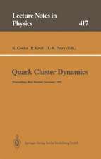 Quark Cluster Dynamics: Proceedings of the 99th WE-Heraeus Seminar Held at the Physikzentrum Bad Honnef, Germany 29 June – 1 July 1992