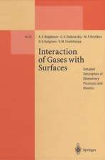 Interaction of Gases with Surfaces: Detailed Description of Elementary Processes and Kinetics