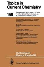 Photoinduced Electron Transfer III