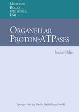 Organellar Proton-ATPases