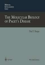 The Molecular Biology of Paget’s Disease