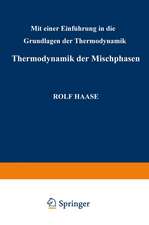 Thermodynamik der Mischphasen: Mit Einer Einführung in die Grundlagen der Thermodynamik