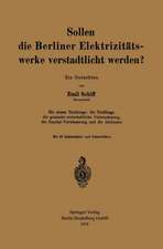 Sollen die Berliner Elektrizitätswerke verstadtlicht werden?: Ein Gutachten