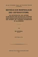 Beiträge zur Morphologie des Gefässsystems