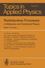 Radiationless Processes: in Molecules and Condensed Phases