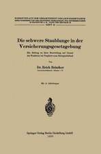 Die schwere Staublunge in der Versicherungsgesetzgebung: Ein Beitrag zu ihrer Beurteilung auf Grund der Funktion im Vergleich zum Röntgenbefund