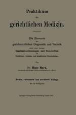 Praktikum der gerichtlichen Medizin: Die Elemente der gerichtsärztlichen Diagnostik und Technik nebst einer Anlage: Gesetzesbestimmungen und Vorschriften für Mediziner, Juristen und praktische Kriminalisten