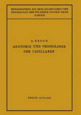 Anatomie und Physiologie der Capillaren