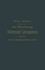 Die Berechnung Elektrischer Leitungsnetze in Theorie und Praxis