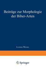 Beiträge zur Morphologie der Biber-Arten