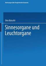 Sinnesorgane und Leuchtorgane