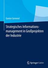 Strategisches Informationsmanagement in Großprojekten der Industrie