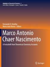 Marco Antonio Chaer Nascimento: A Festschrift from Theoretical Chemistry Accounts