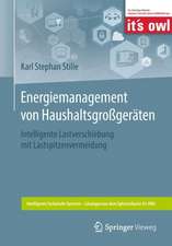 Energiemanagement von Haushaltsgroßgeräten: Intelligente Lastverschiebung mit Lastspitzenvermeidung