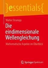 Die eindimensionale Wellengleichung